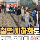 정인공조 이미지