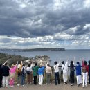 선진커머스 이미지