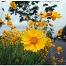 율하체육공원 축구장 이미지