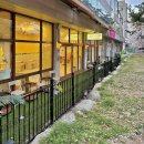 사하구 다송로 72번길 | 부산 사하구 다대포 숨은 벚꽃 명소 | 애견동반 카페 수제간식 맛집 내돈내산 - 꽃길만걷개