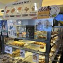 휴샌드위치 | 211. 대전 당일치기 여행, 성심당 샌드위치정거장, 커피맨션문장, 광천식당, 하레하레, 그리고 경남FC...