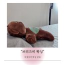 경기알뜰매장 | 의정부역 왁싱 맛집 브리즈비 브라질리언 후기