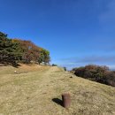 임천 가림성 느티나무 | [체험 후기] 부여 성지혜윰길, 조용히 나를 돌아보는...둘째 날_대조사, 부여가림성, 성흥산 사랑나무...