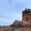 신두리농장 | 서해바다 충청도 태안 2일차 :: 만리포 | 파도리 해수욕장 | 신두리 해안 사구