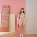 와이블링 이미지
