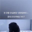 아이러브 독 이미지
