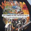 지유테크 | 스투시보다 매력적인 하와이 기념품, 할리데이비슨 와이키키 티셔츠 XXL 사이즈 후기 (180/90)
