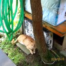 동준농장 이미지