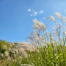 율하체육공원 생태연못 | 율하동 아이들 놀만한 공원 산책코스 율하체육공원