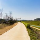 종달새체육관 | 종달새 체육관 2023 봄맞이 달리기 대회 후기