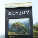 녹전리(상)