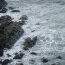 천금공인중개사사무소 이미지