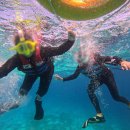 암스테르담 | 세부여행 호핑투어 &#34;암스테르담 호핑&#34; 내돈내산 후기