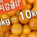 탐라미트