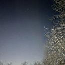 어도숲 캠핑장 이미지