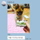 예단떡 이바지떡 맛있고 고급진 소소떡방!