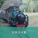 선우고시원