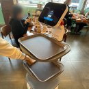 도야주유소 | 광주 월산동 맛집, 도야짬뽕 화정점 크림짬뽕 메뉴 추천