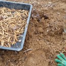 천천농장 이미지