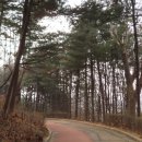 우장산둘레길 이미지