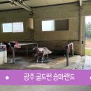 골드런승마랜드