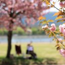 미사경정공원 이미지