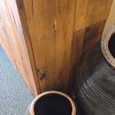 정선콩국수 소소정 이미지