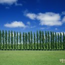 눈이편한 이미지