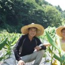 황제농원 이미지