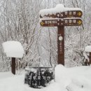 제1243회 정기(송년)산행 백두대간48구간 눈산행 이미지