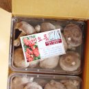 해오름농장 이미지