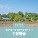 선창농촌체험휴양마을