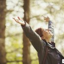 연베이지 이미지