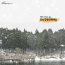 영화마을 이미지