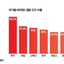 중앙비타민