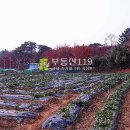 당진시노인요양원 이미지