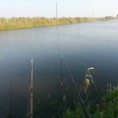 동강매운탕 이미지