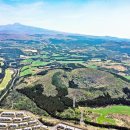 달리오름 이미지