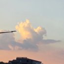 선일목장2 | 의왕 선일목장 옆 ‘선일 식물원’ 탐방기 🌿