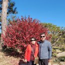 정원유기농 영농조합법인 이미지