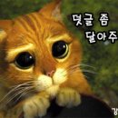 본전해물전문