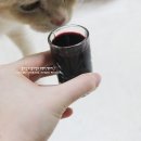 굿 베리팜