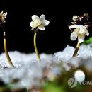 제천숲속의원