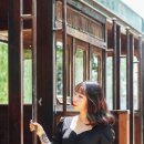 꽃이랑나무랑 이미지