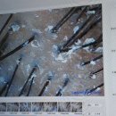 탑케어 | 압구정두피관리 강남탈모 성인지루성 염증 탈모초기증상 케어하는 법 후기 '탑스칼프 논현점'