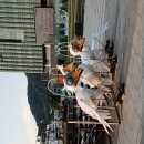 부천과 서울의 경계선서 김문수 부천시장.경기도지사 다 봤지만..민주로 돌려놓은 사람은 이재명... 이미지