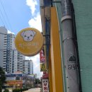 픽 앤 펫 애견 미용실 이미지