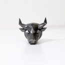 황소카인테리어 이미지