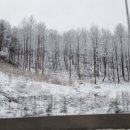 곰배령펜션 휴림 이미지