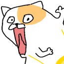 에이치트레블 이미지